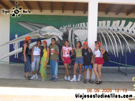 http://mail.viajesestudiantiles.com/site/images/servicios/photobox-margarita-primaria/DSCN9610.jpg